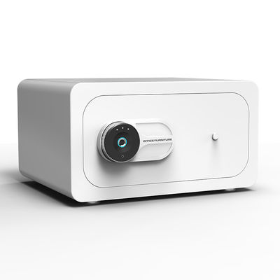 Stain Resistant Fingerprint Lock Small Security Safe Box