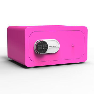 Stain Resistant Fingerprint Lock Small Security Safe Box