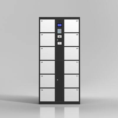 Supermarket 12 Doors  Fingerprint Lock Bar Code Electronic Storage Locker