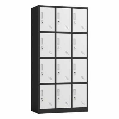 Double Color 12 Doors Office Metal Cabinet Locker Home Storage